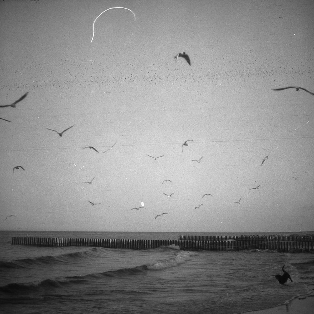 Photograph by Евгения Булычёва