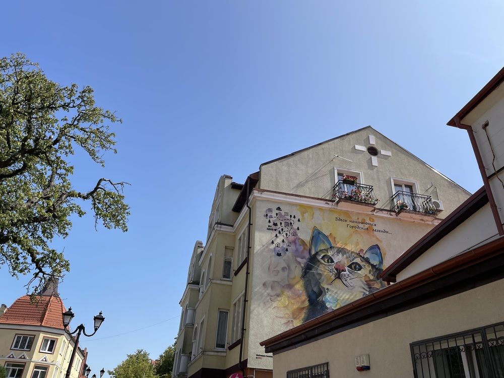 Photograph by Ирина Соловейченко