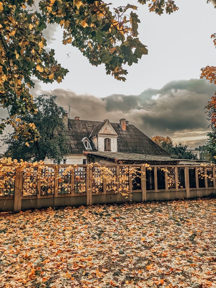 Photograph by Юлия Гашева