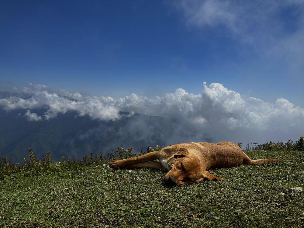 Фотография автора Юлия Косинова