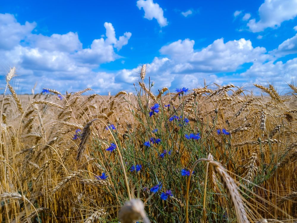 Photograph by Светлана Кондрашова