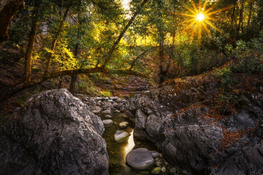 Photograph by Svetlana Tertyshnaya