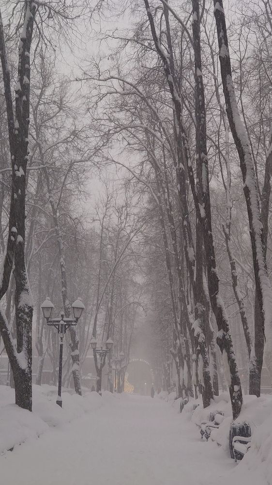 Photograph by Кротов Дмитрий