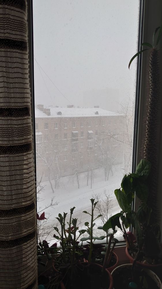 Photograph by Кротов Дмитрий