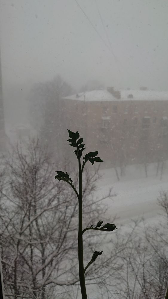 Photograph by Кротов Дмитрий