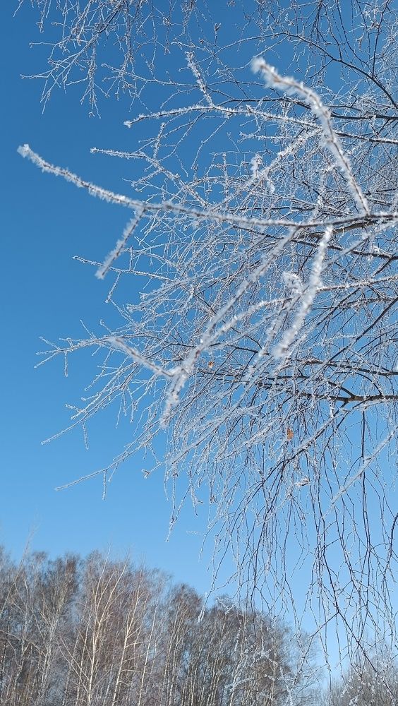 Photo #10284328