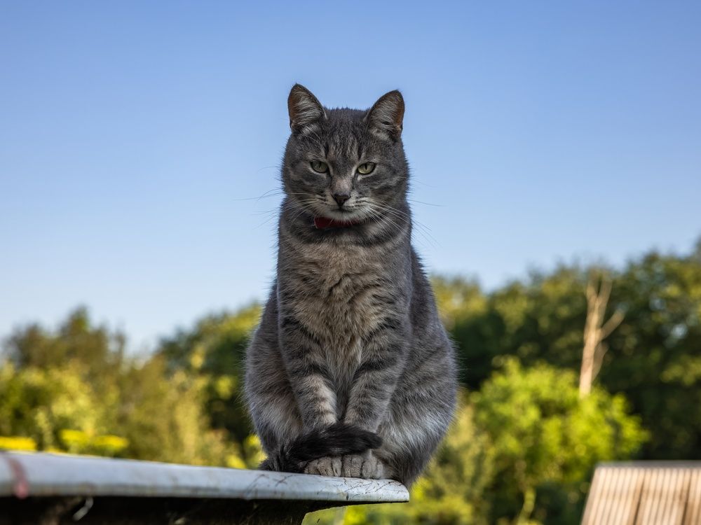 Photograph by Сергей Хабаров