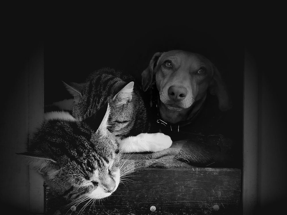 Photograph by Владимир Каюков