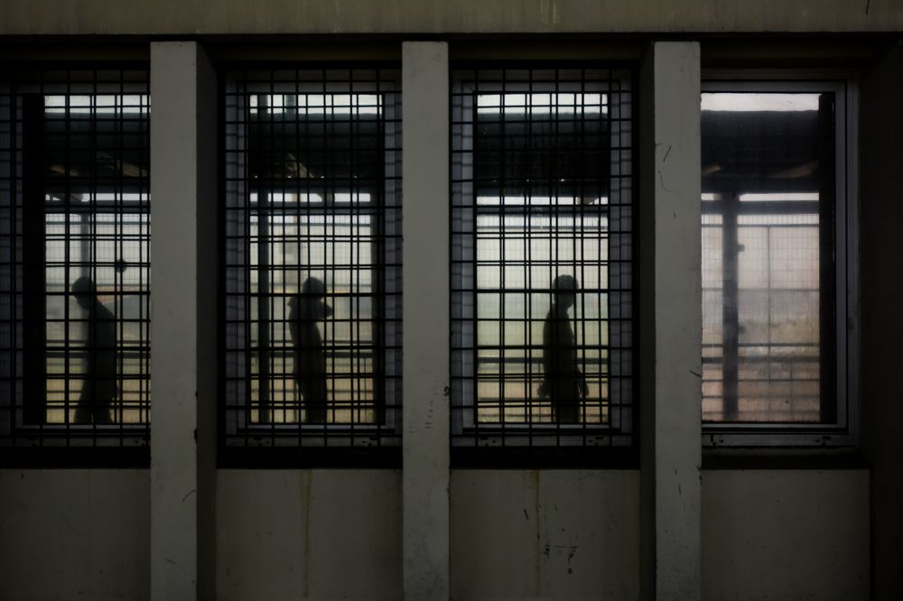 Фотография автора Lasko