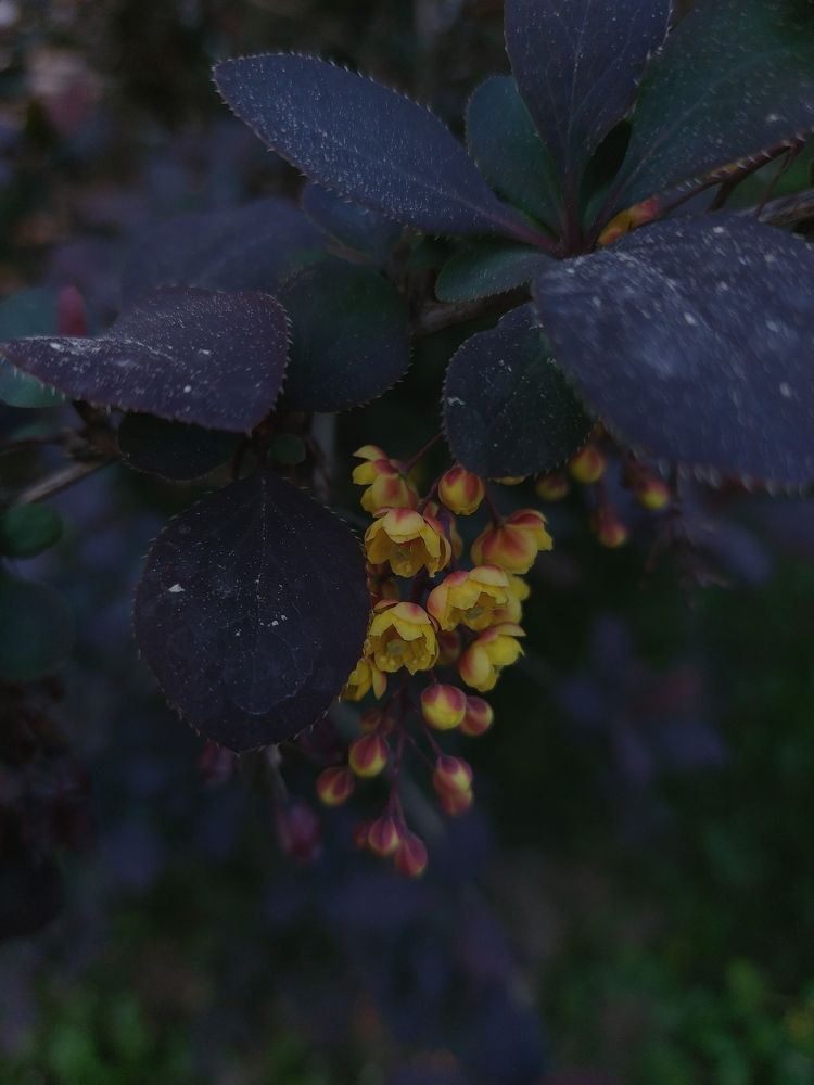 Photograph by Елена Ельчанинова