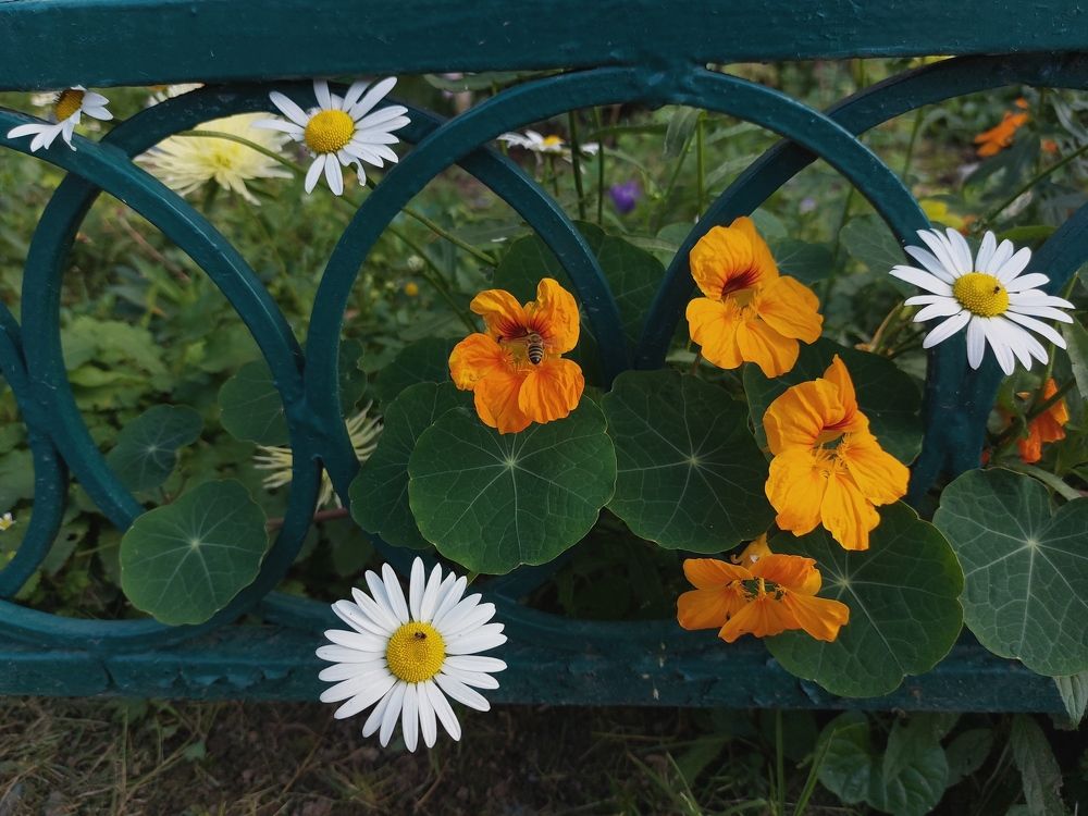 Photograph by Елена Ельчанинова