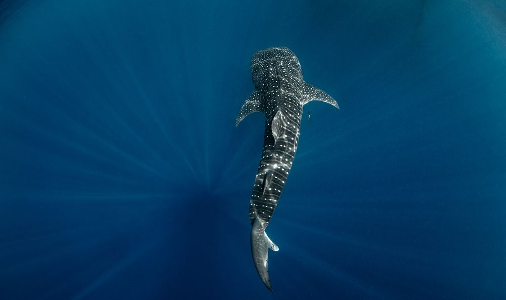 Photograph by Савин Андрей