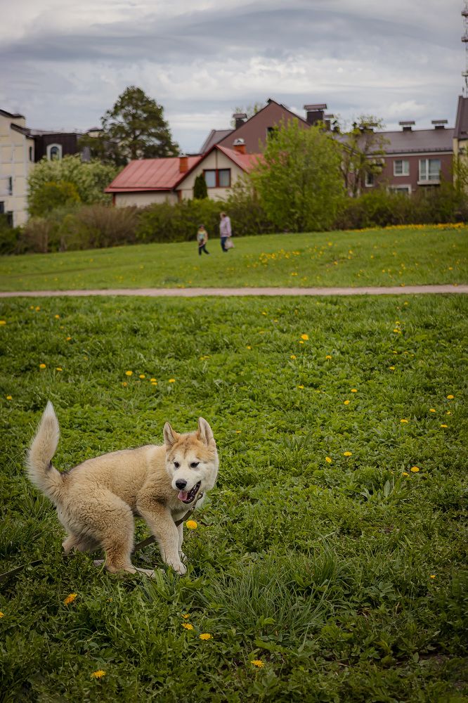 Photograph by Анастасия Белякова