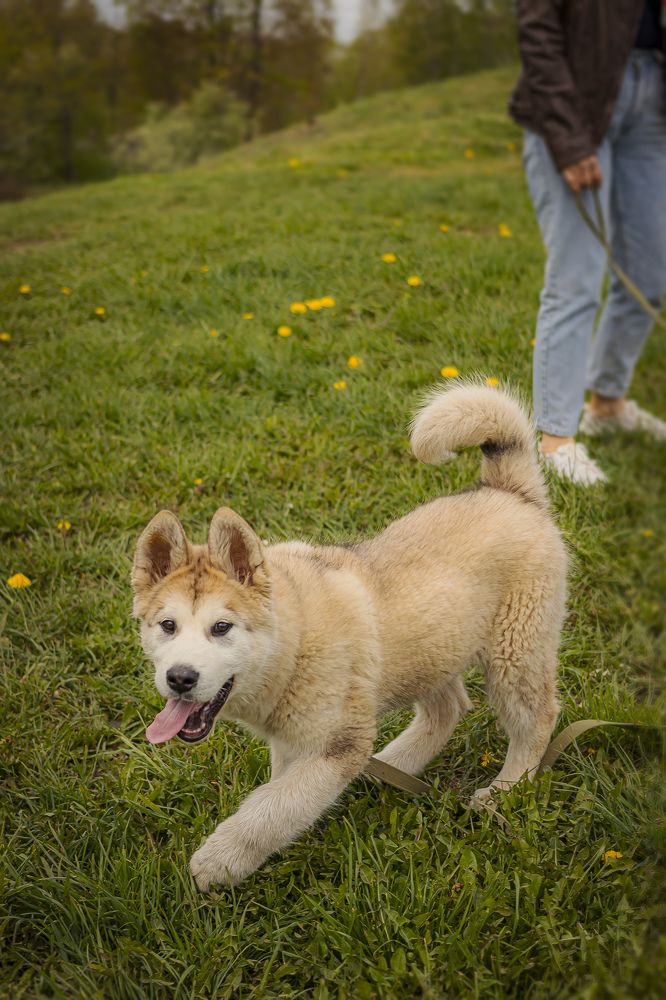 Photograph by Анастасия Белякова