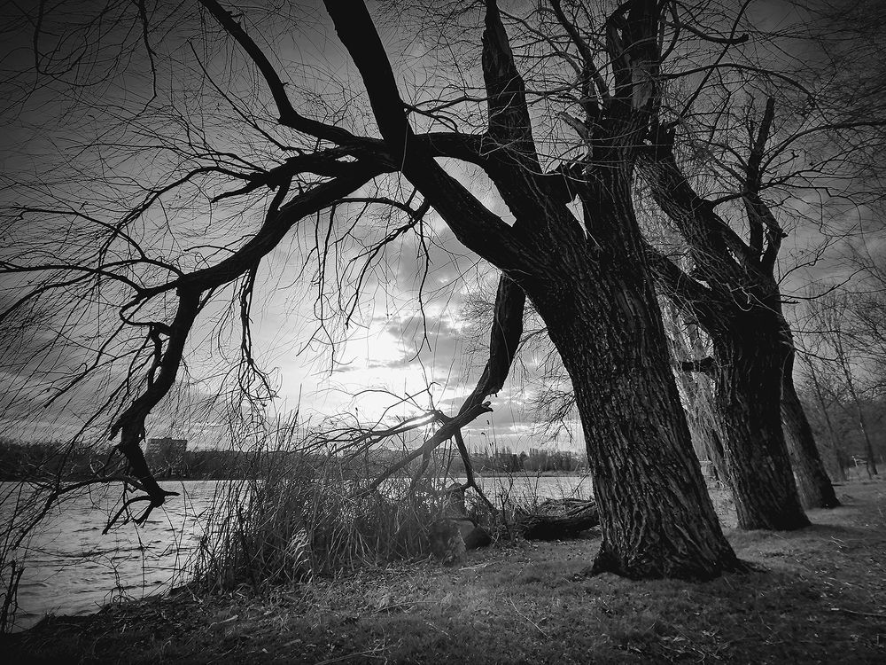 Photograph by Владимир Каюков