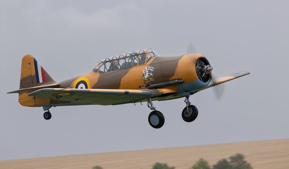 Фотография автора MARIA KULA