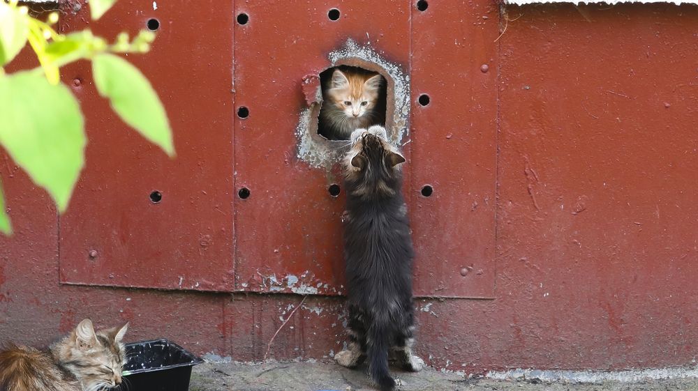 Photograph by Наталья Котько