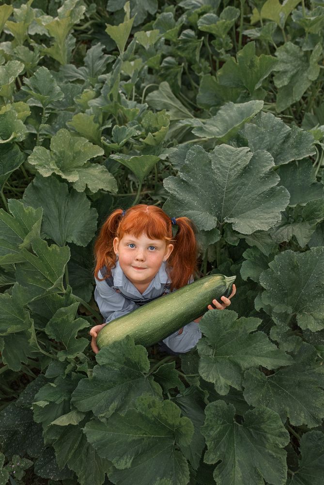 Photograph by Альфия Лебедева