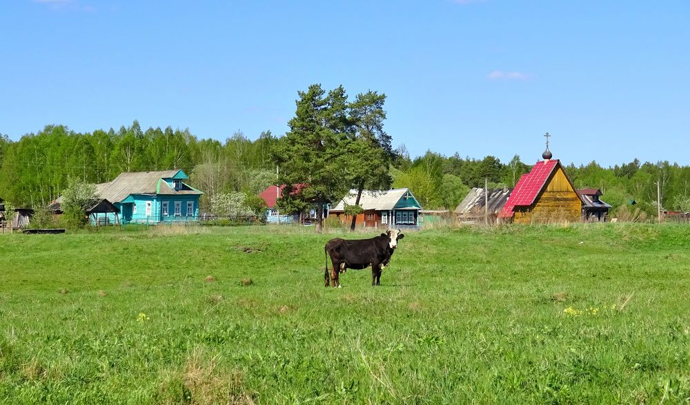 Деревня Конюково