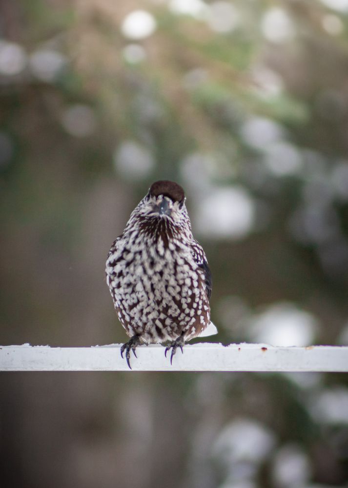 Photograph by Наталья Островцева