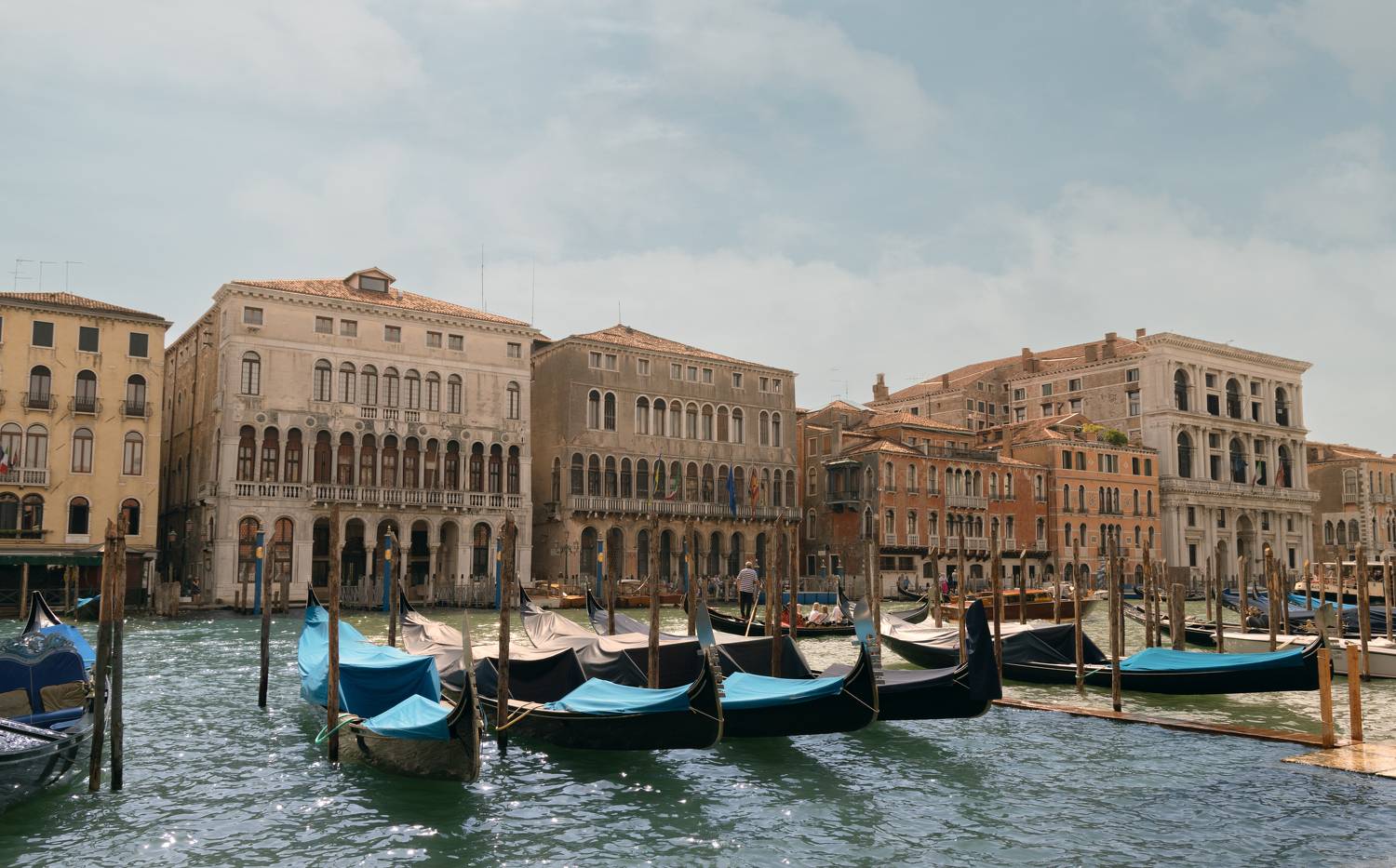 Фотография #10284538