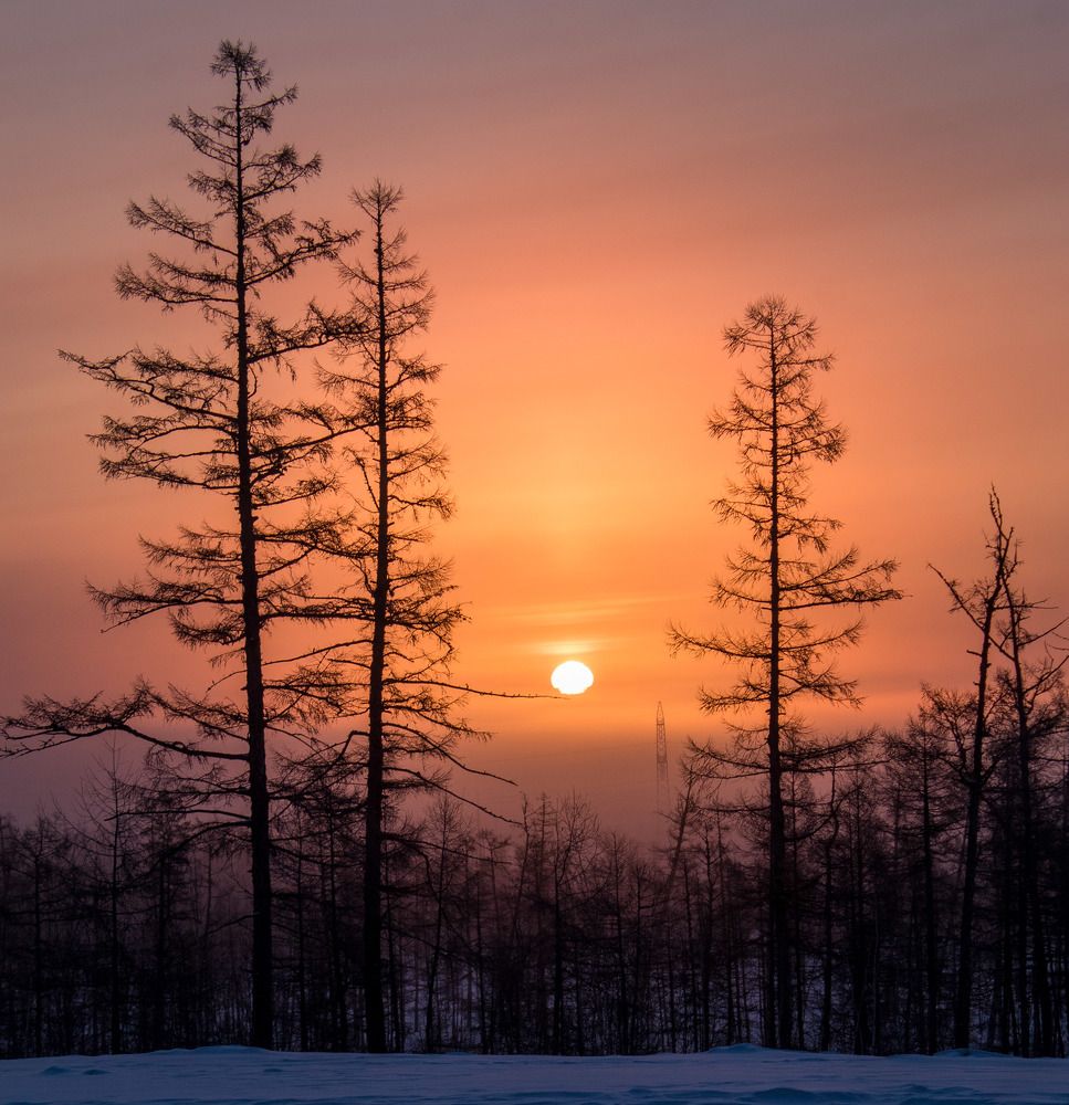 Photograph by Михаил Мархинин