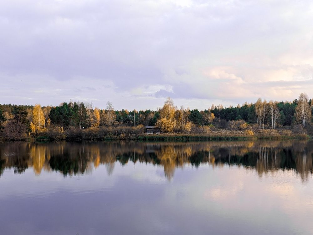 Photograph by Дмитрий Панфиленко