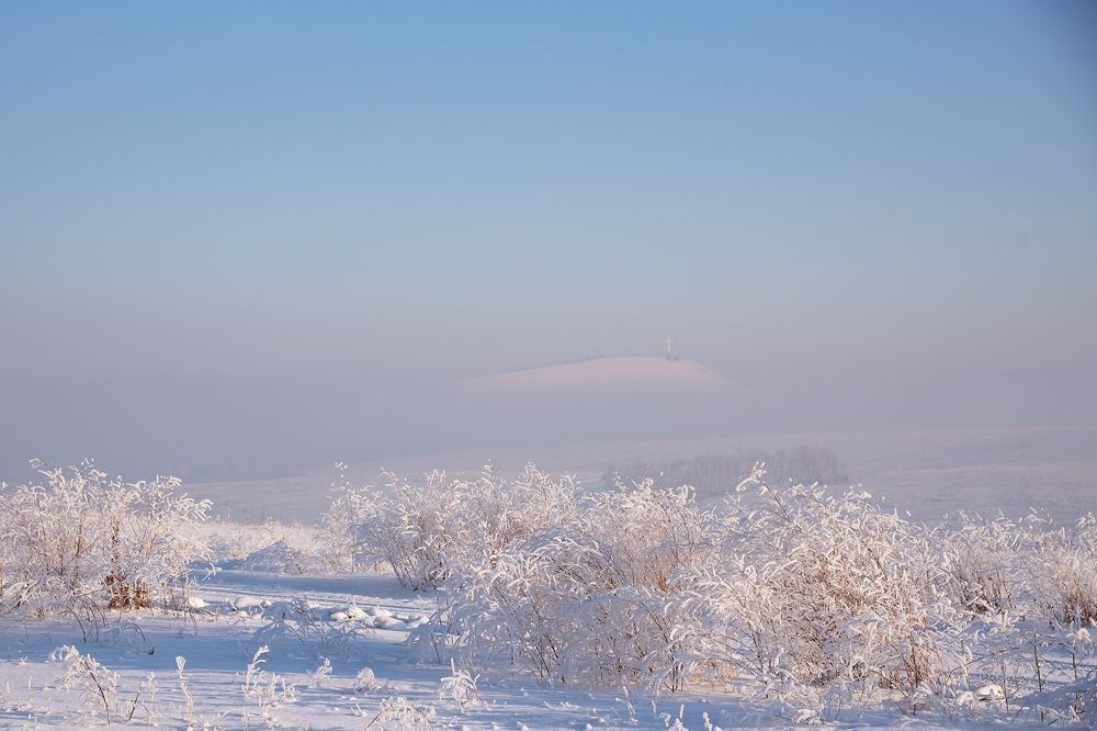Photograph by Elena  Tagashova