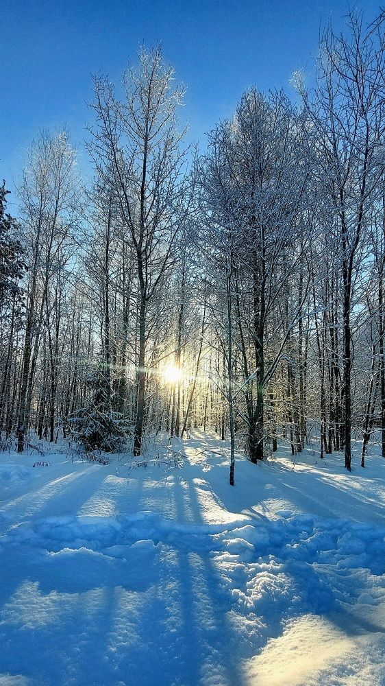 Фотография автора Виталий Петров