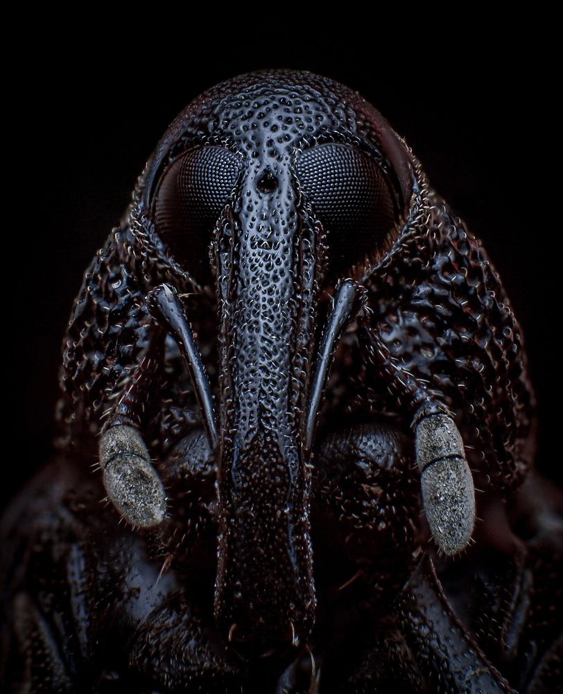 Photograph by Celis Norman