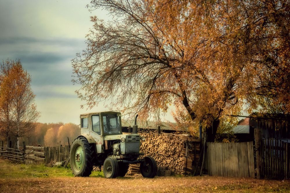 Photograph by Юлия Лушникова