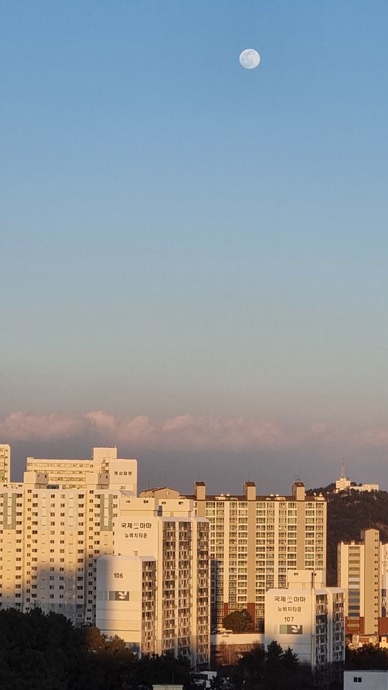 Photo #10284909