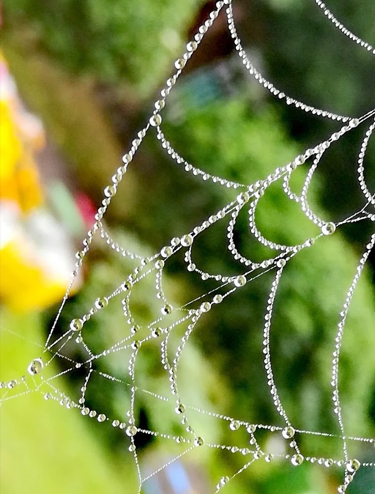 Photograph by Evgeniya Burkaeva