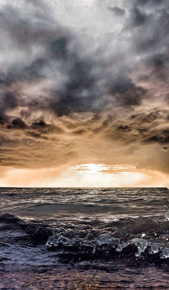 Фотография автора Елена Медведева