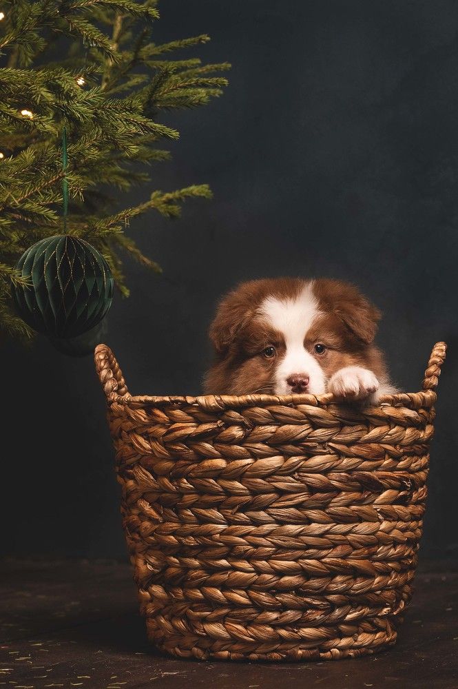 Фотография автора Мороз Ирина