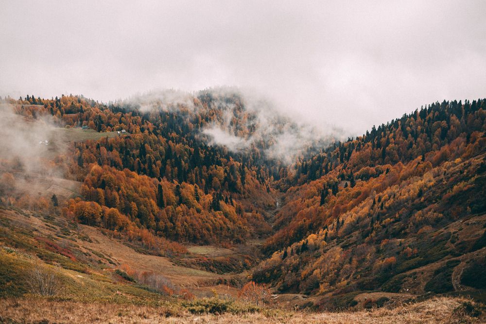 Photograph by Margarita