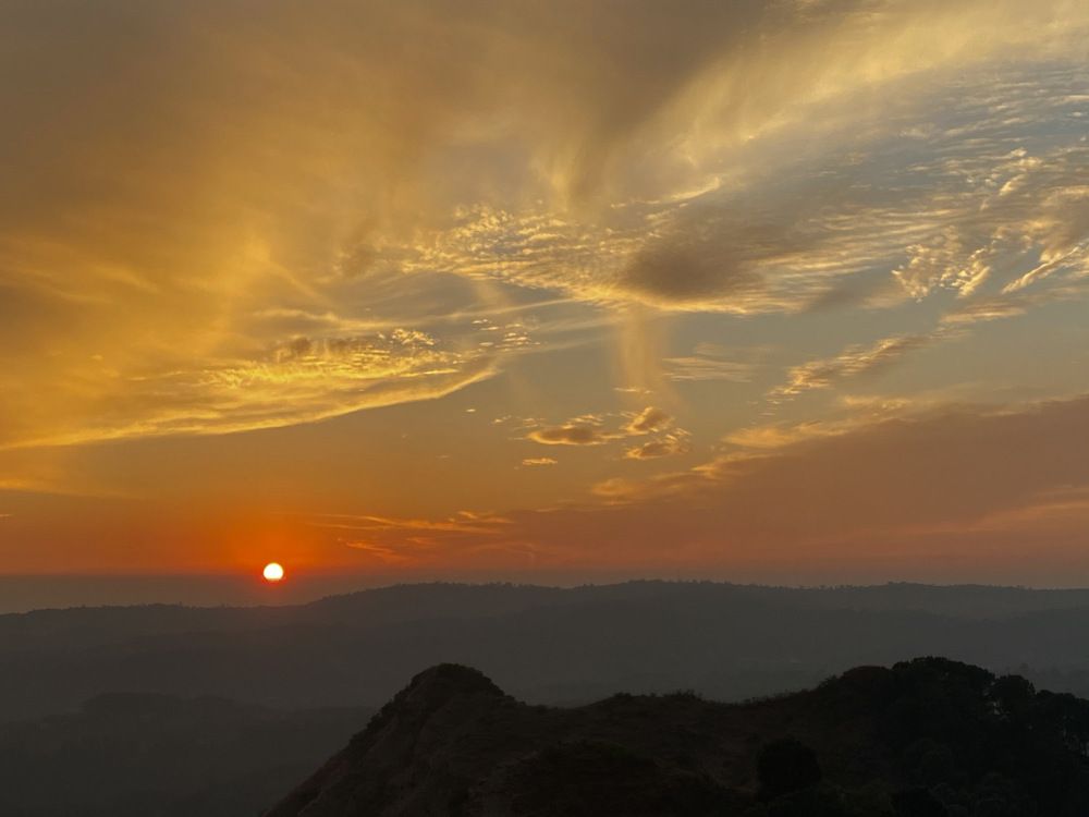 Photograph by Sharma Dr Megha