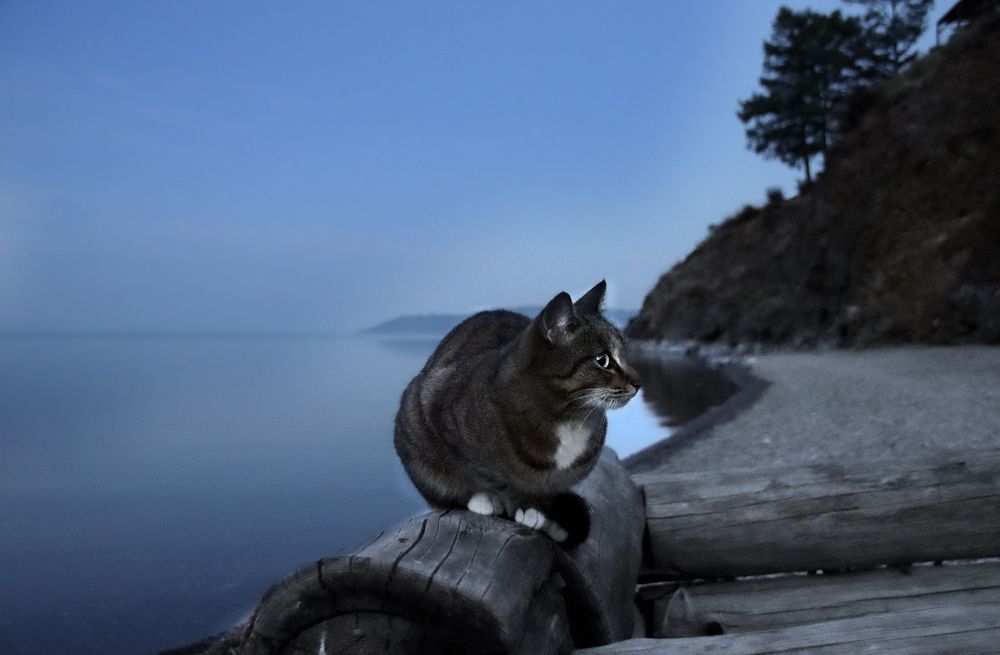 Встречаем рассвет на берегу озера Байкал