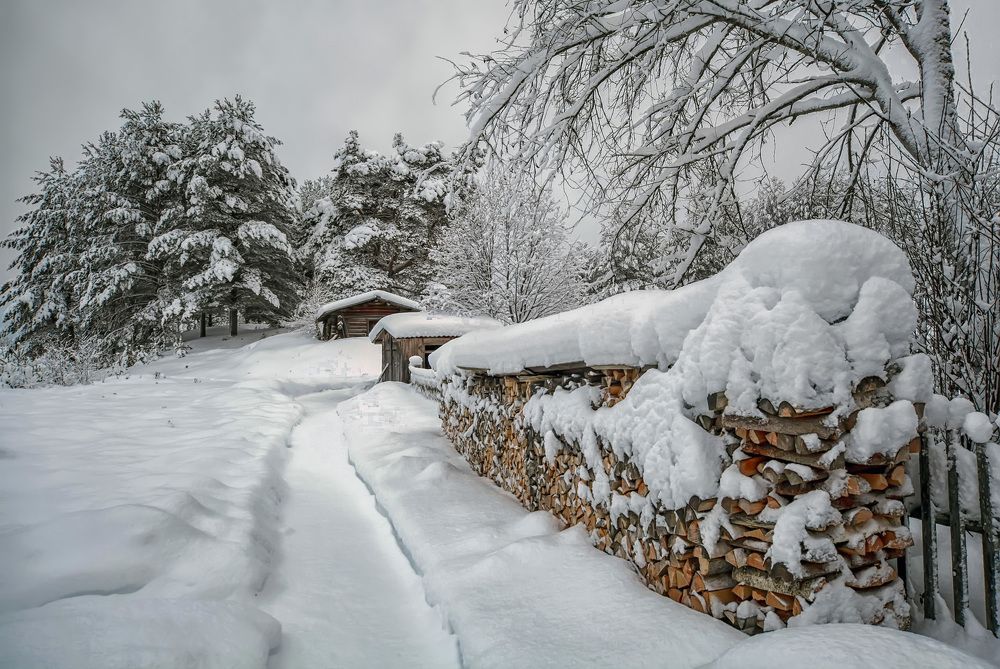 Photograph by Владимир Архипов