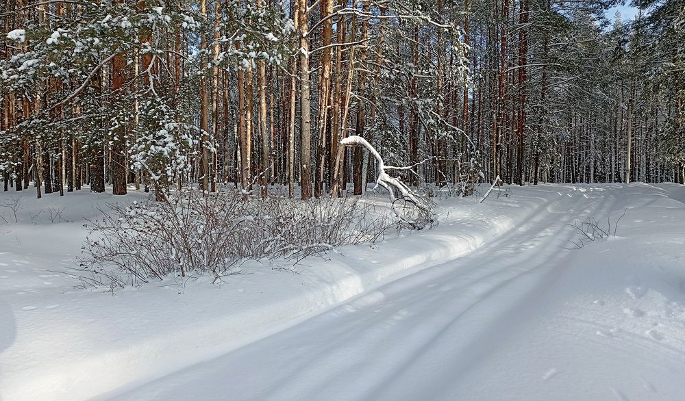 Photograph by Николай Кузьмин