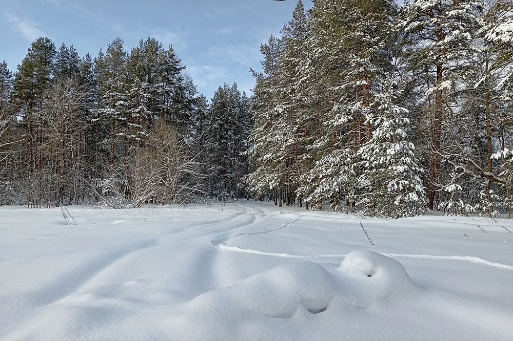 Photograph by Николай Кузьмин