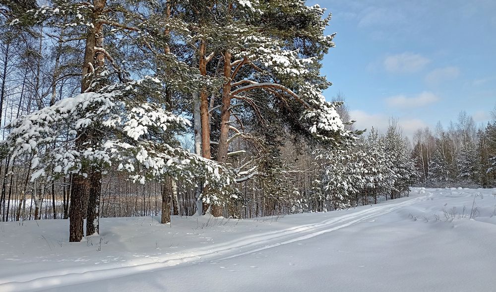 Photograph by Николай Кузьмин