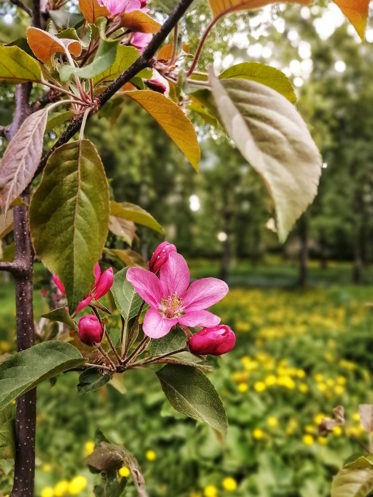 Photograph by Анастасия Белякова