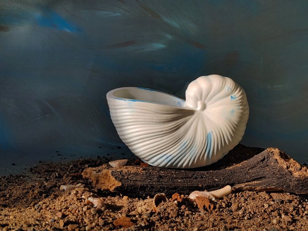 Photograph by Рина Хуртова