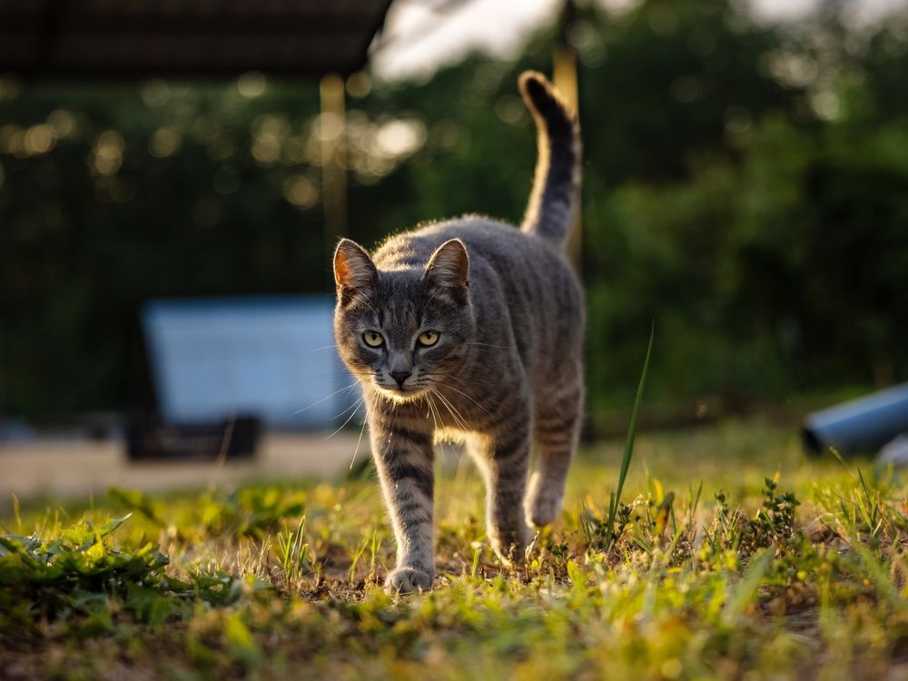 Photograph by Сергей Хабаров
