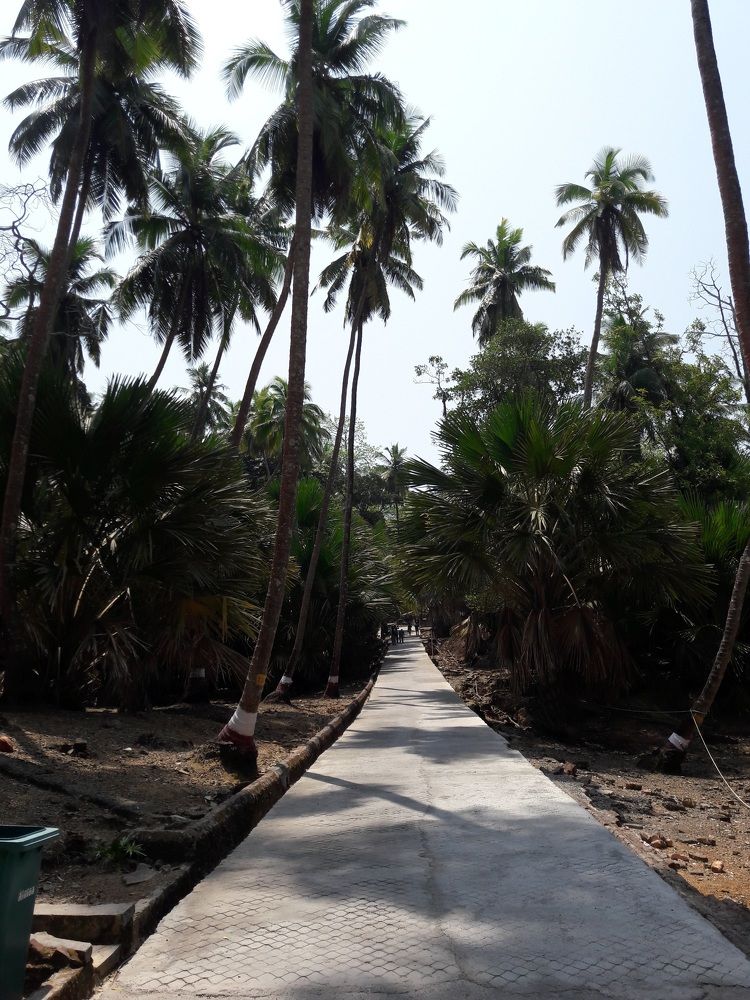 Photograph by Shreyashi Sengupta