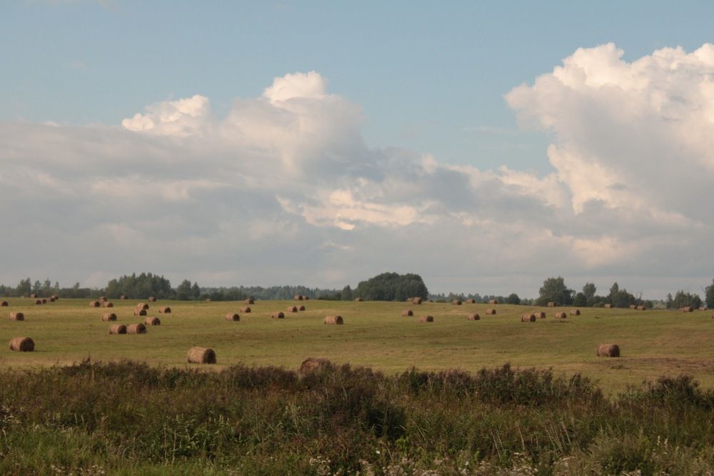 Конец лета