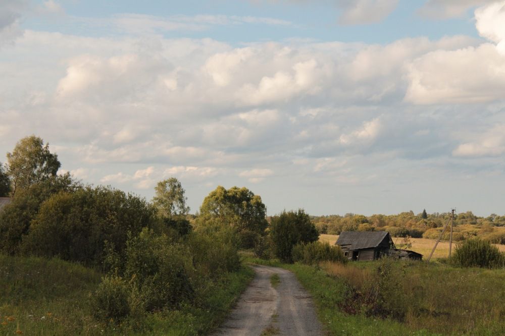 Дорога в прошлое