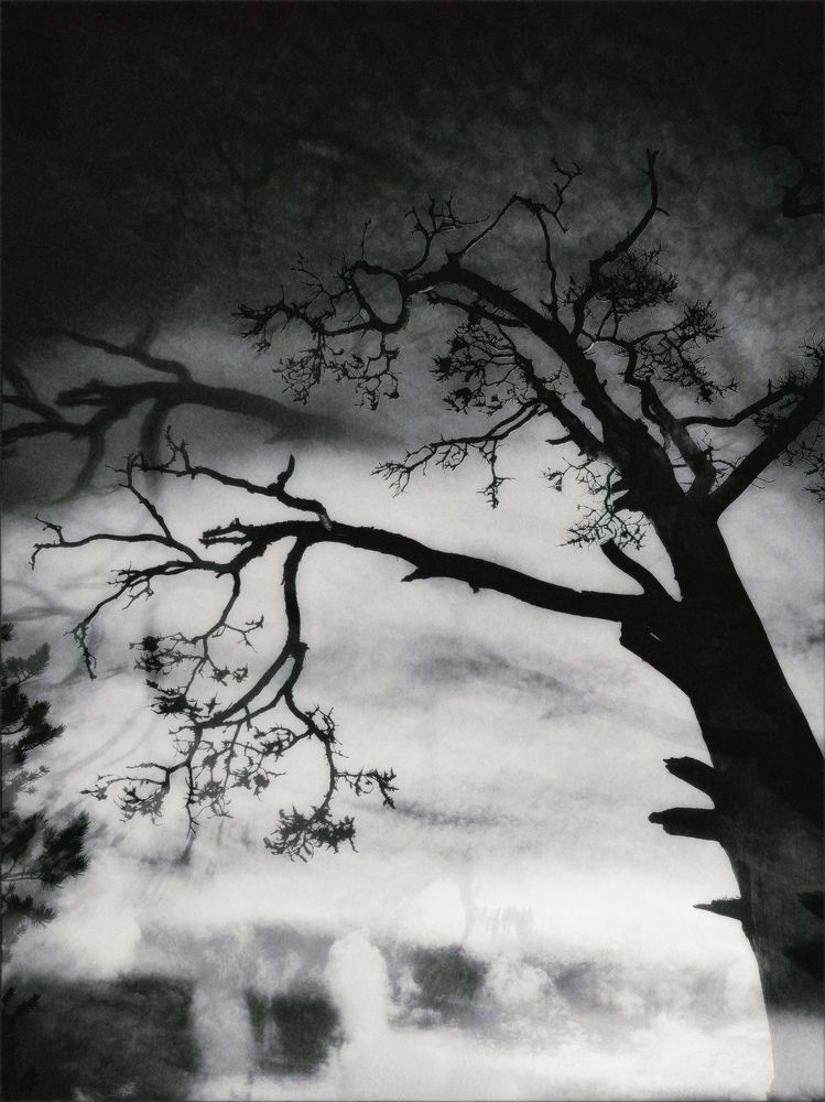 Photograph by Хомастя Настя