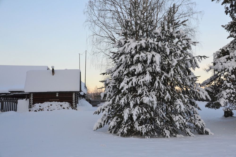 Photograph by Владислав Завальнюк